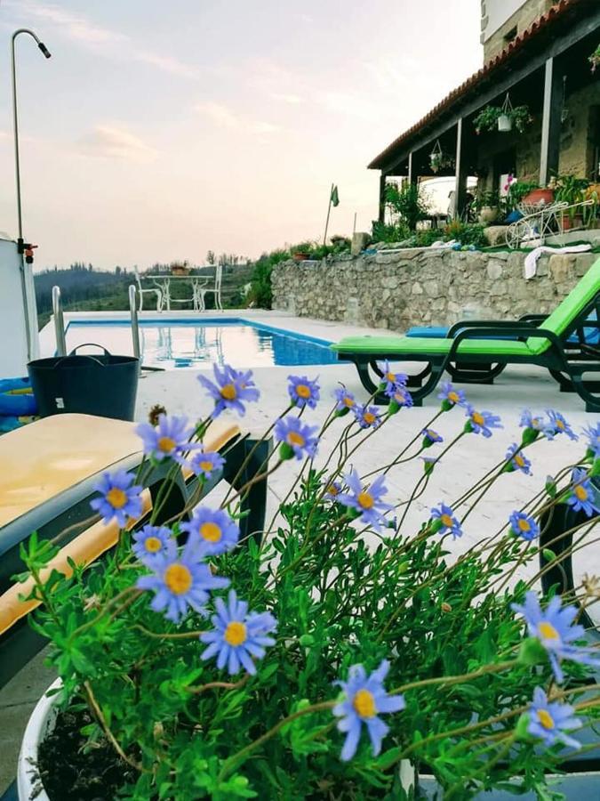 Quinta Do Cavaleiro Ao Sol - Um Lugar Ao Sol Guest House Catraia de Sao Paio Ngoại thất bức ảnh