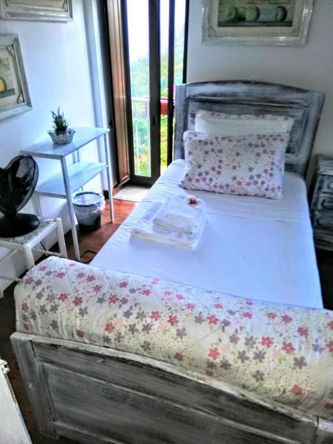 Quinta Do Cavaleiro Ao Sol - Um Lugar Ao Sol Guest House Catraia de Sao Paio Ngoại thất bức ảnh
